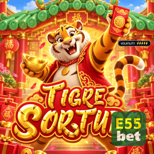 Ajustes de segurança e controle de sessão da conta E55BET